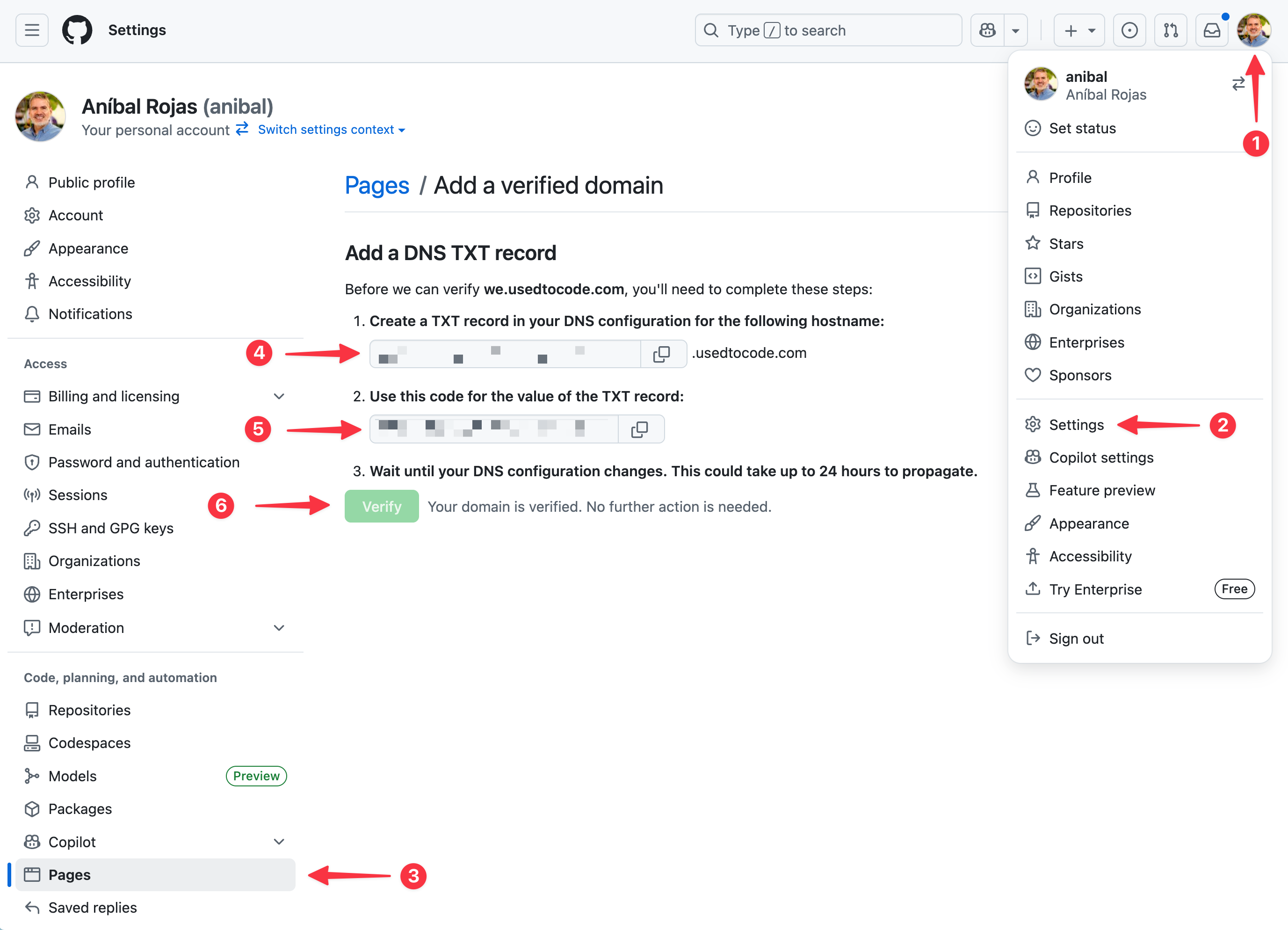 GitHub Pages domain verification screen showing the TXT record name and value to copy