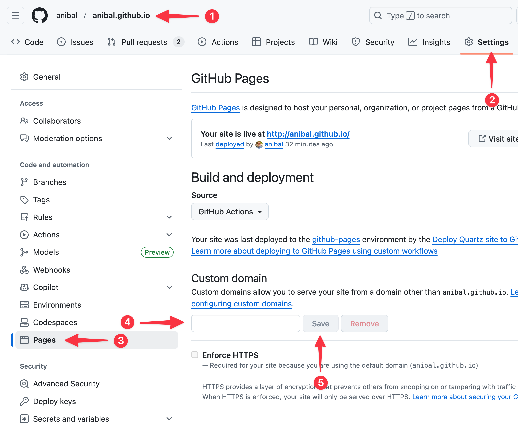 GitHub repository Pages settings with the custom subdomain added and saved